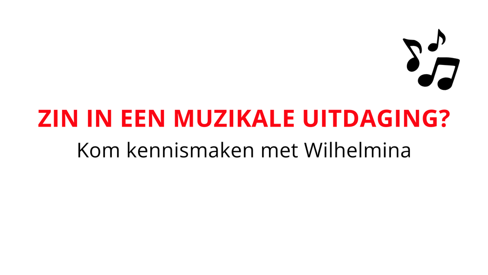 Muzikanten gezocht voor ons fanfareorkest!